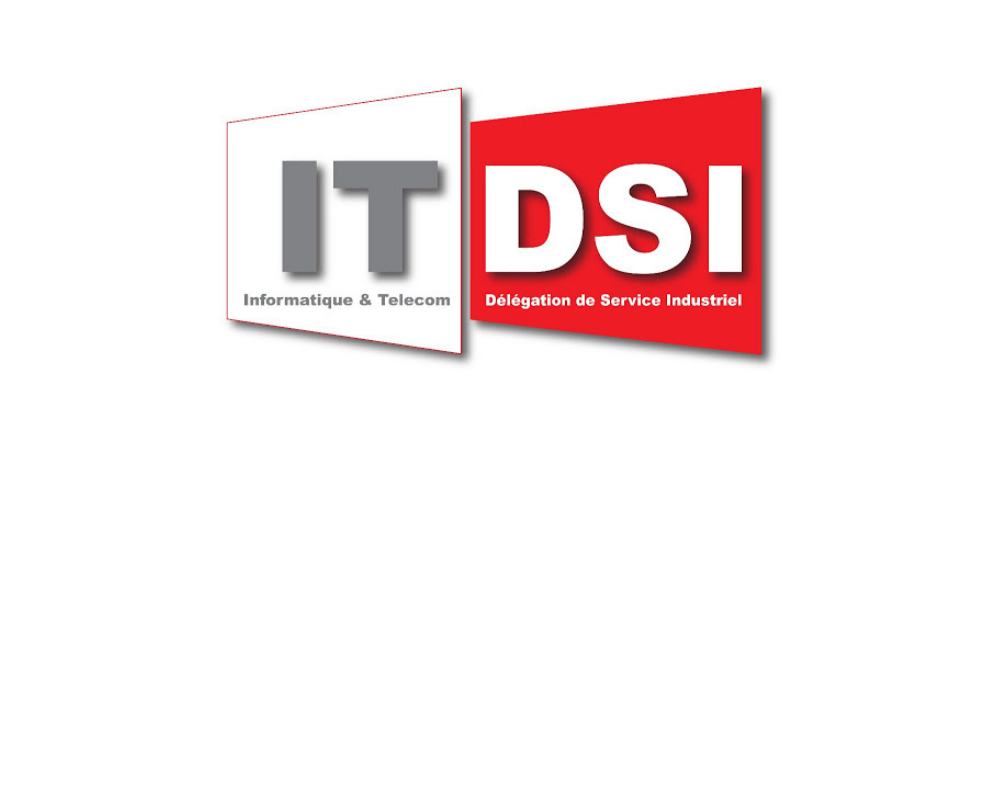 logo it dsi