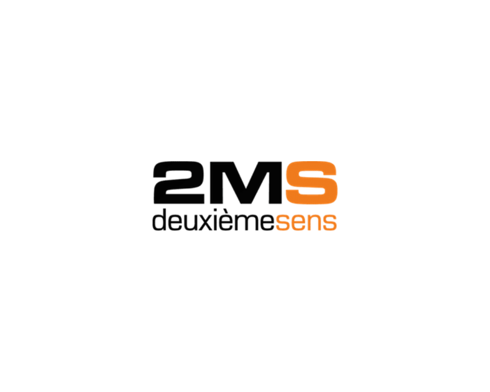 logo 2MS